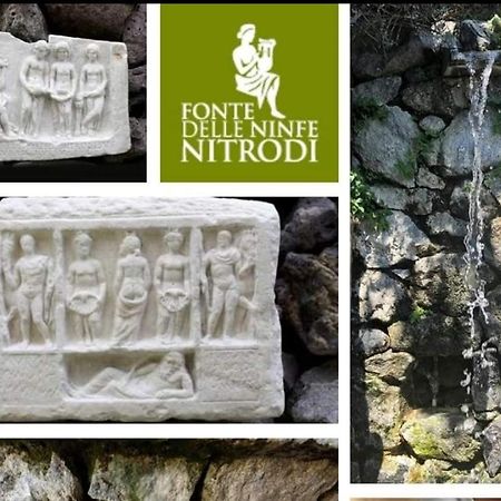 バラーノ・ディスキアIl Giardinoアパートメント エクステリア 写真